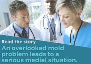 Mold damage leads to health issues.