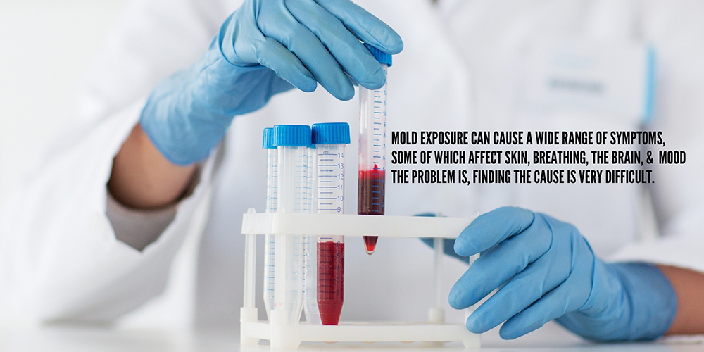 After many blood tests, mold was found to be the cause of illness.