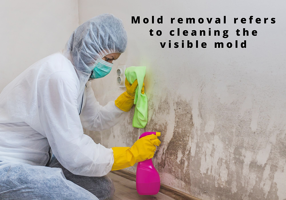 Mold removal requires scrubbing with specialized chemicals