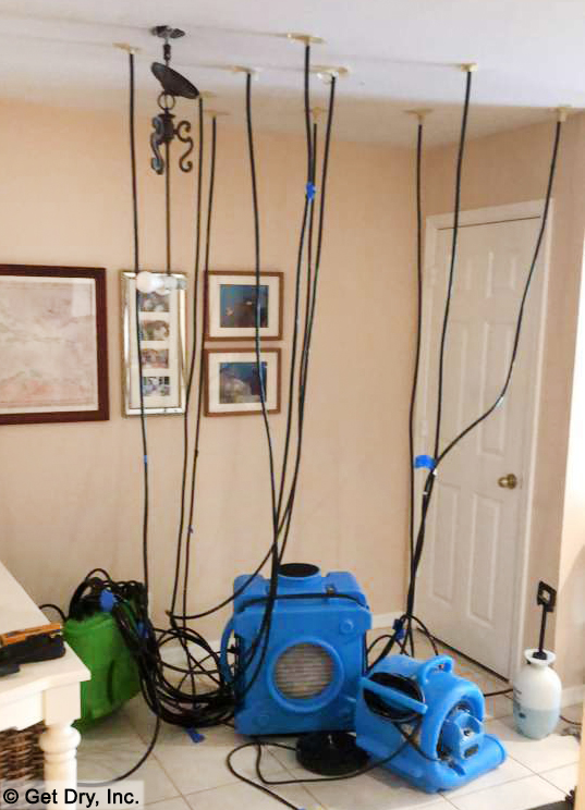 Equipment used by a Mold and water damage expert